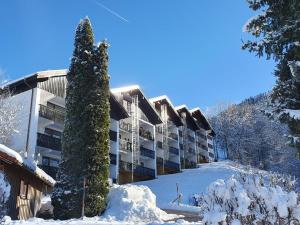 米森-维尔哈姆斯Ferienwohnung Gipfelglück 931 mit Hallenbad und Sauna的雪地中的一座建筑,前沿有一棵树