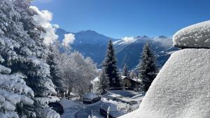 Master Bedroom - Verbier Chalet في فيربير: غابة ثلجية مغطاة بالأشجار والجبل