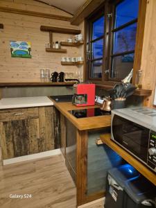 Η κουζίνα ή μικρή κουζίνα στο Haus Evelynchen auf Rädern Deutschhof