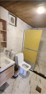 a bathroom with a toilet and a sink at MIRNA lUXURY CAMP in Wadi Rum +90 photos