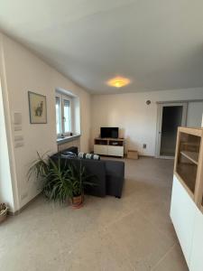 Bagnolo PiemonteにあるAzzurraのソファとテレビのあるリビングルーム