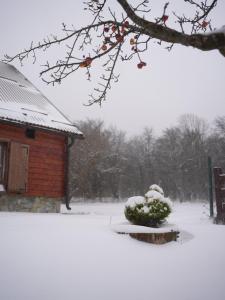 Το Plitvički San τον χειμώνα