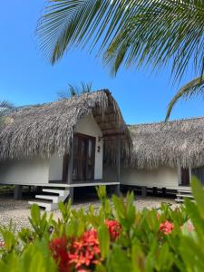 a house with a thatched roof and a palm tree at Anuk Glamping in San Bernardo del Viento