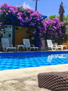 サン・ベルナルド・デル・ビエントにあるAnuk Glampingの紫の花が咲くスイミングプール