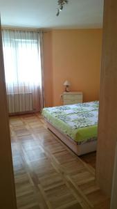 a bedroom with a bed and a window at Daria Apartment in Novi Sad