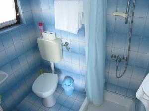 Koupelna v ubytování Apartmani Plach