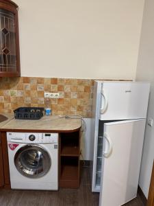 a kitchen with a washing machine and a counter at Будинок на Духновича in Mukacheve