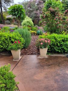 ein Garten mit drei Blumentöpfen und Sträuchern in der Unterkunft 4 Seasons Suites Paradise Athens Airport in Markopoulo + 37 Fotos