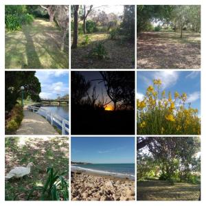 un collage di foto diverse dei vari luoghi di AmoVertecasadeveraneo a Colonia Chapadmalal