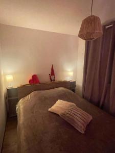 a bedroom with a bed with a pillow on it at Gîte Le lys 2 à 4 personnes in Colmar