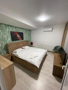 a bedroom with a bed and a desk in it at Pensiunea Canciu in Craiova