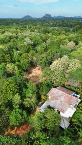 Phong cảnh thiên nhiên gần chỗ nghỉ nhà dân +28 ảnh