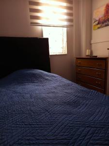 a bedroom with a blue bed and a window at Hotel Rancagua, piezas simples dobles y familiares in Rancagua