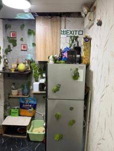 Kuchyň nebo kuchyňský kout v ubytování 金葉別墅