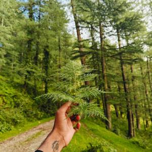 Φυσικό τοπίο κοντά σε αυτή η παραθεριστική κατοικία +2 φωτογραφίες