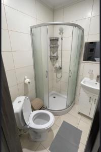 a bathroom with a shower and a toilet and a sink at Family2 in Mukacheve