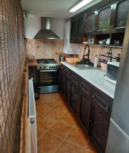 Una cocina con estufa y fregadero. en Casa Crissio, en Sinaia