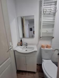 a bathroom with a toilet and a sink and a mirror at Casa Stadion in Craiova +13 photos