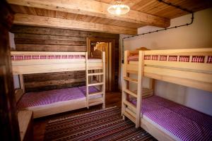 2 stapelbedden in een kamer met houten wanden bij Historisches Baderhaus mit eigenem Saunauhaus in Roding