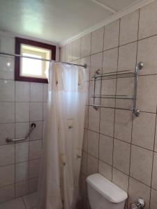 bagno con tenda per la doccia e servizi igienici di ECOHOSTAL HUELLAS DEL BOSQUE a Valdivia