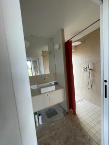 un bagno con lavandino e specchio di Grange transformée a Crucheray