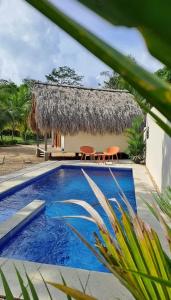 サン・ベルナルド・デル・ビエントにあるAnuk Glampingのスイミングプールと茅葺き屋根のヴィラ