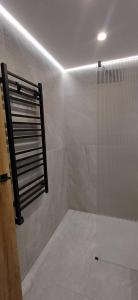 a bathroom with a shower with a window and a shower at Tėčio ir Dukters pajūrio apartamentai - Šventojoje in Palanga