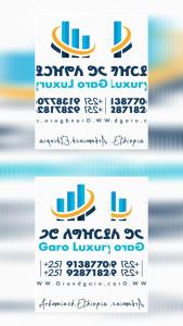 Un conjunto de tres logotipos para un concesionario de automóviles. en Tekilu Keto, en Ārba Minchʼ