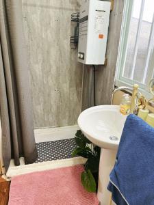 ein Bad mit einem Waschbecken und einer Klimaanlage in der Unterkunft The Cabin in the Woods in Dublin + 47 Fotos