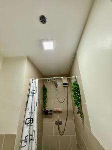 Un baño con ducha con plantas. en J&A Cozy Calm Stay, en Biñan
