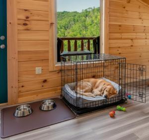 Un perro durmiendo en una jaula en una habitación. en Hibearnator, en Sevierville