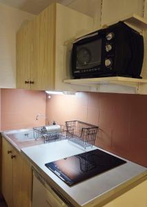 una cocina con microondas y fregadero en L'Epicéa - Logement Nature, en Mijoux