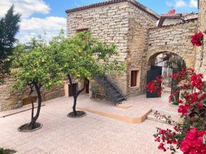 Φωτογραφία από το άλμπουμ του Domo Sa Bellesa σε Olzai