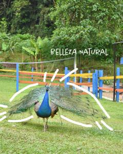 Galería fotográfica de Ecohotel Monteverde en La Vega