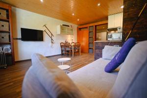 アンドラ・ラ・ベリャにあるAcogedor Rincón de Ski I Paniqueraのソファとキッチンのあるリビングルーム
