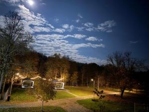 Ein Park in der Nacht mit dem Mond am Himmel in der Unterkunft B Frames in Aninişu din Deal