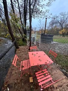 Κήπος έξω από το B Frames