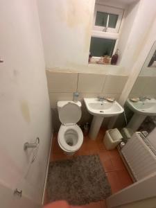 een badkamer met toilet en wastafel bij Quiet Nest in Coventry