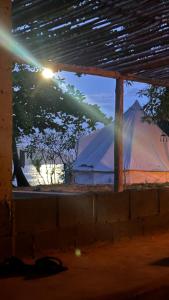 圣卡塔利娜岛AmparitoCamp的透过窗户可欣赏到帐篷的景色