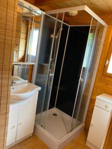 y baño con ducha y lavabo. en Chalet de l empereur, en Ussel