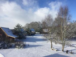 un patio cubierto de nieve con árboles y una casa en Chalet de l empereur, en Ussel