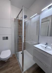 un bagno con doccia, WC e lavandino di Old Town Bulwar Apartment a Elblag