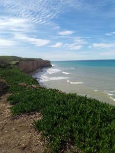 a beach with green grass and the ocean at AmoVertecasadeveraneo in Colonia Chapadmalal +8 photos