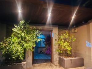 Vườn quanh Annikaguesthouse