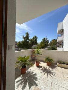 a patio with potted plants and a wall with trees at Pasaje Solivar in Villanueva del Trabuco