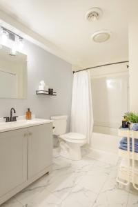 Un baño con inodoro, lavabo y ducha. en Entire Modern Cozy 2BR Apt mins SU LeMoyne DT, en East Syracuse