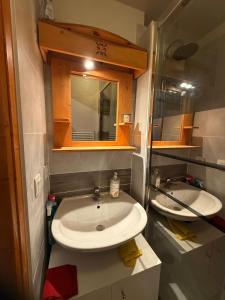 apptT2 station ski familiale في تولو: حمام به مغسلتين ومرآة