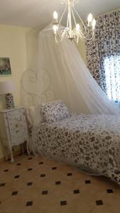 Billede fra billedgalleriet på Flor de Loto i Candeleda