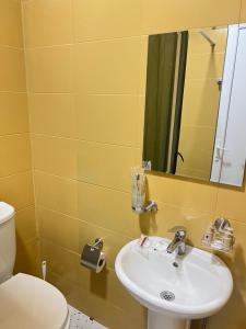 a bathroom with a sink and a toilet and a mirror at Hotel maisis ezo in Kutaisi
