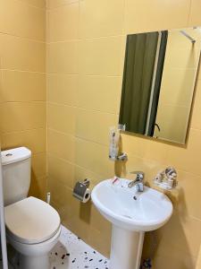 a bathroom with a toilet and a sink and a mirror at Hotel maisis ezo in Kutaisi